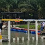 IMG-20161120-WA0122 (1)